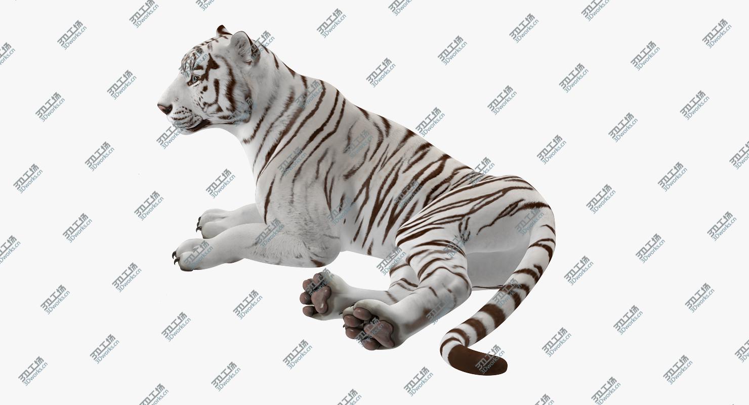 images/goods_img/2021040164/Lying White Tiger 3D Model 3D model/3.jpg